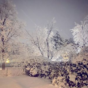 Meet your Posher, Melanie